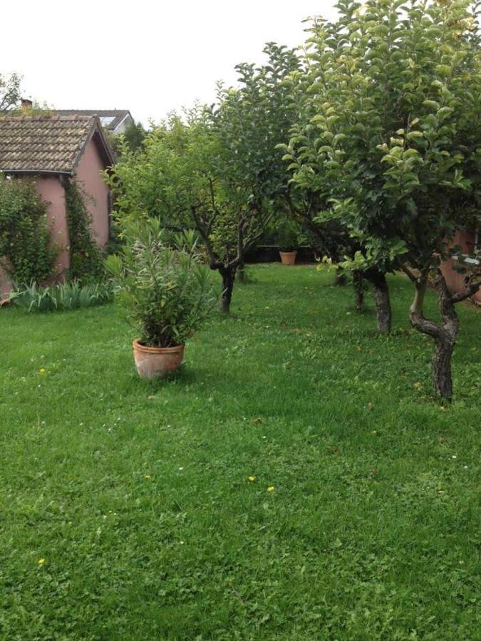 Les Portes Du Vignoble 尼伊圣乔治 外观 照片